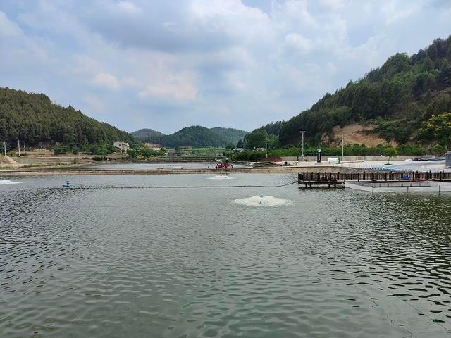 四川绵阳盐亭西部水产现代农业园区:四川最大淡水鱼集中养殖基地