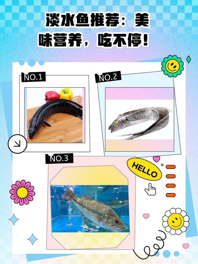 淡水鱼推荐 美味营养，吃不停！